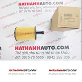 Lọc dầu (nhớt) máy xe Volkswagen Beetle, Caddy, Eos - 071115562C